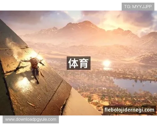 九游真人体育的赛事丰富度与覆盖范围，助你享受全球体育盛事